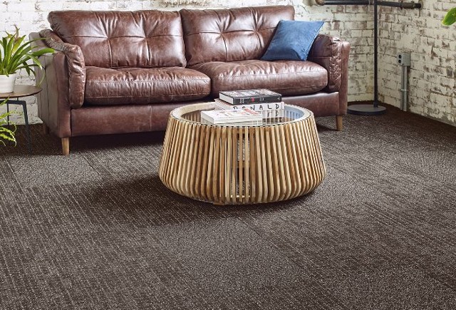 Couch on carpet | Markville Carpet & Flooring