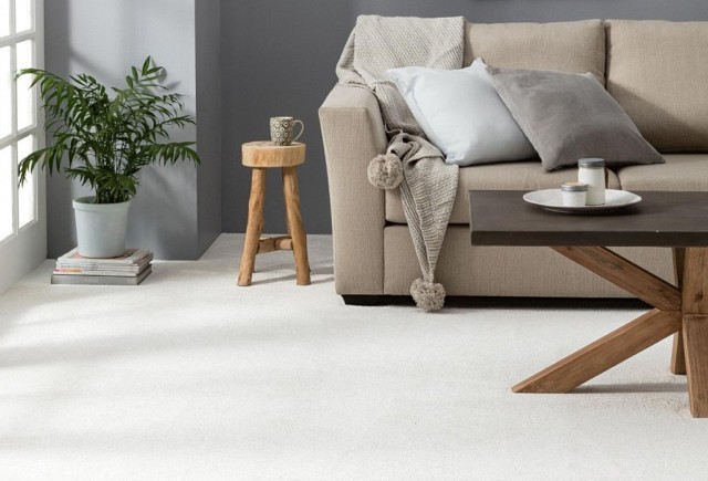 White Carpet in Living room | Markville Carpet & Flooring