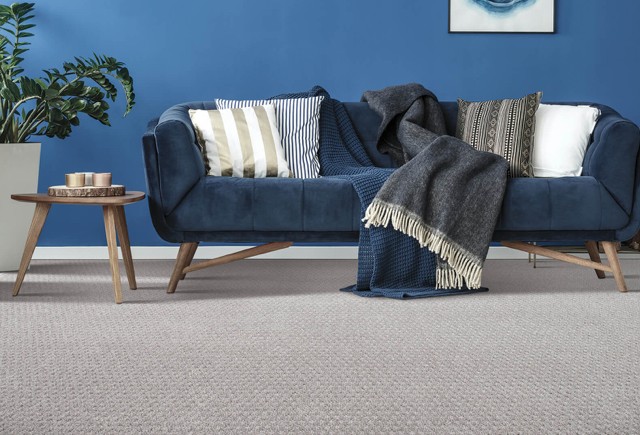 Blue couch on Carpet flooring | Markville Carpet & Flooring