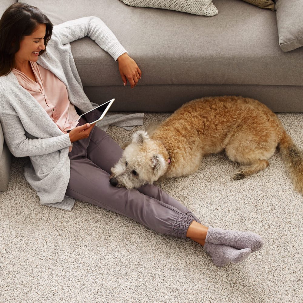 Lady with pet watching in tablet | Markville Carpet & Flooring