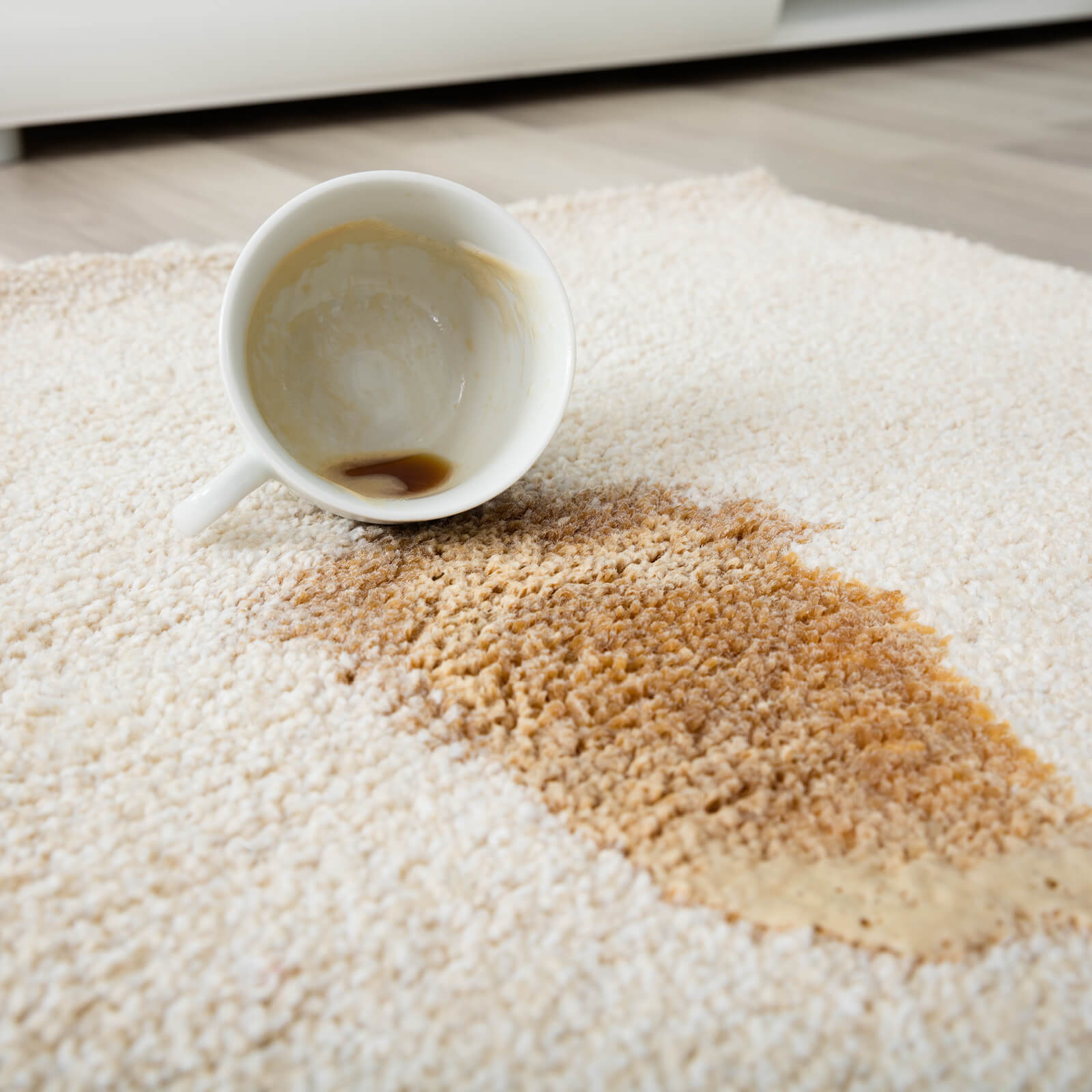 Coffee spill on area rug | Markville Carpet & Flooring