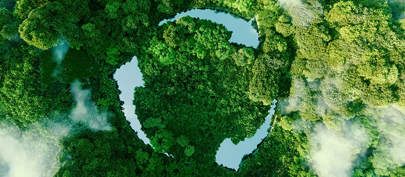 Environmental-Sustainable Environmental-Sustainable