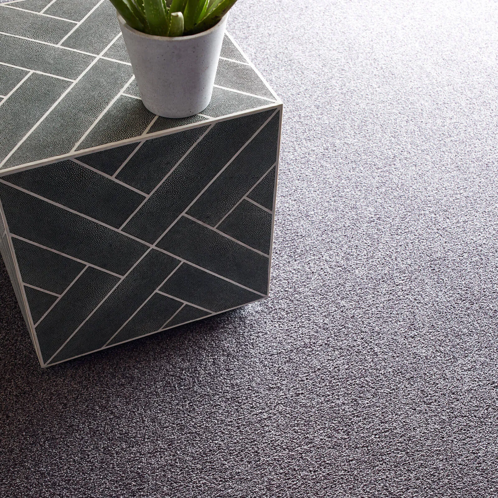 Carpet | Markville Flooring